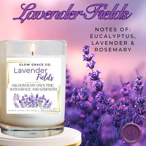 Lavender Fields